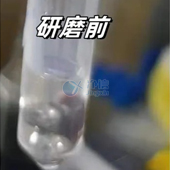必看！全自動(dòng)浸入式液氮冷凍研磨儀高效研磨小鼠肝臟提取DNA實(shí)操指南